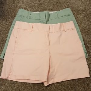 Loft Shorts (2 pack)